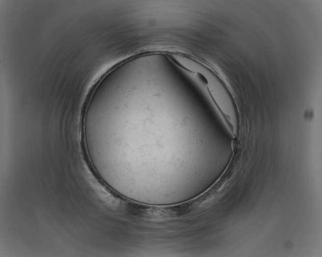 X0000092310795200710121457