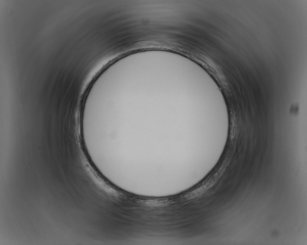 X0000092310796200710121457