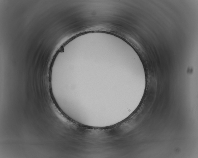 X0000092310800200710121457