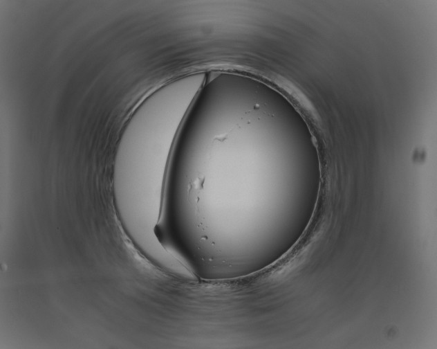 X0000092310801200710121457