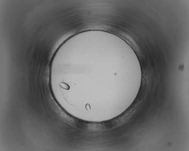 X0000092310804200710121457