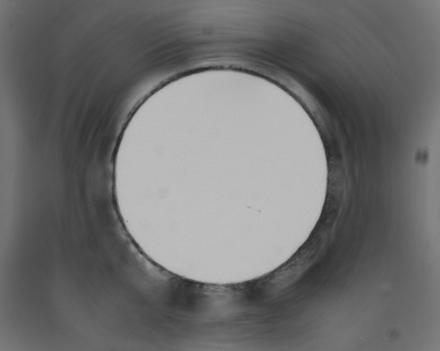 X0000092310807200710121457
