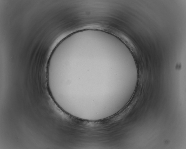 X0000092310808200710121457