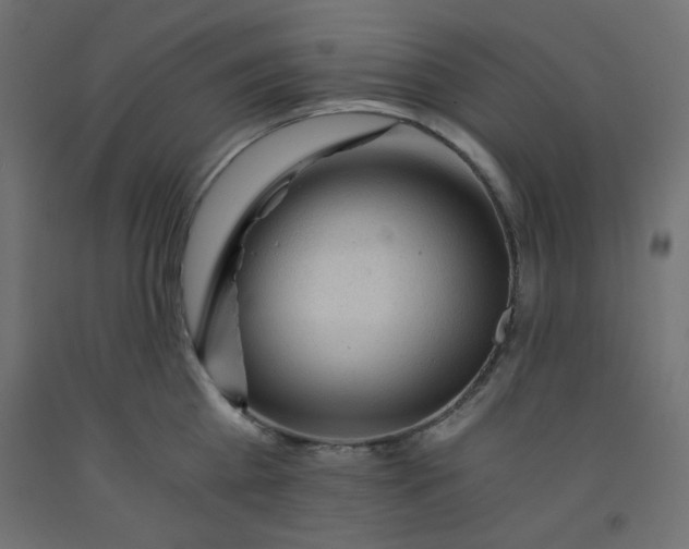 X0000092310809200710121457