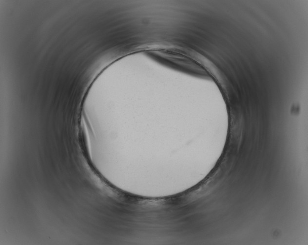 X0000092310810200710121457