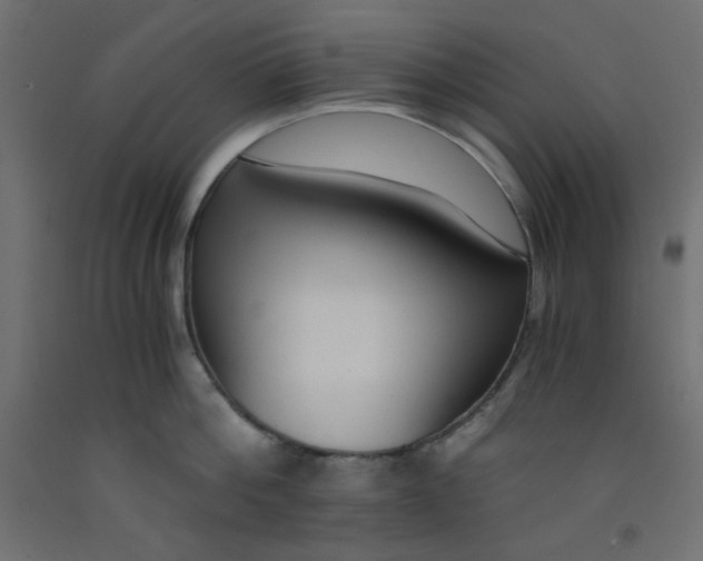 X0000092310812200710121457