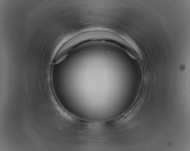 X0000092310813200710121457
