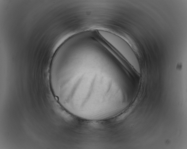 X0000092310814200710121457