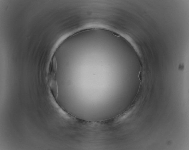 X0000092310815200710121457