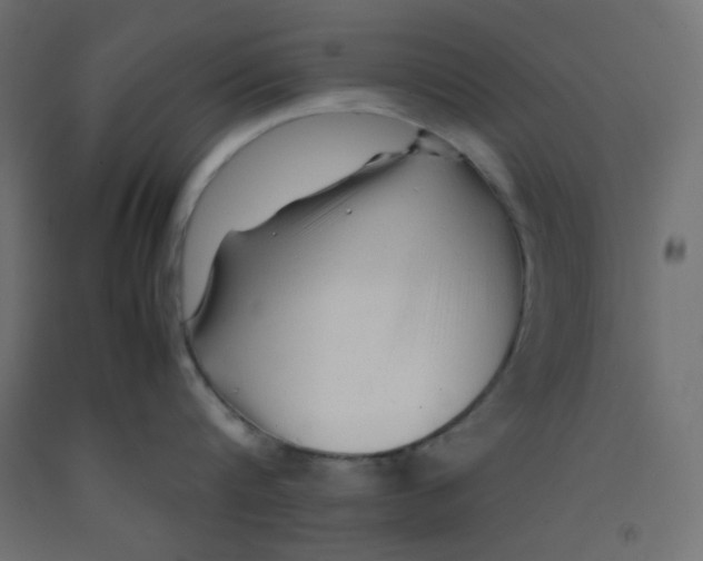 X0000092310816200710121457