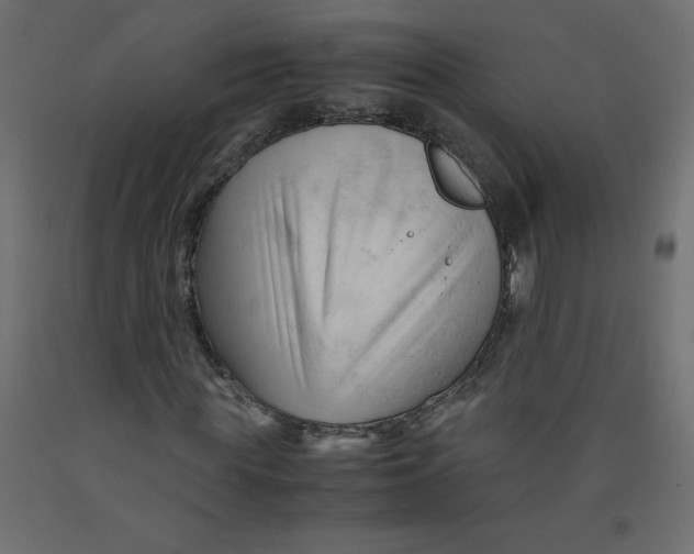 X0000092310819200710121456