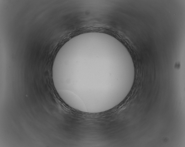 X0000092310820200710121456