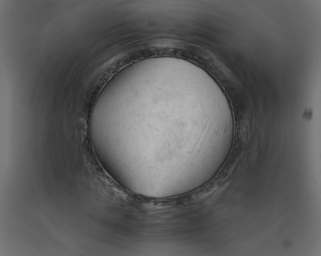 X0000092310821200710121456