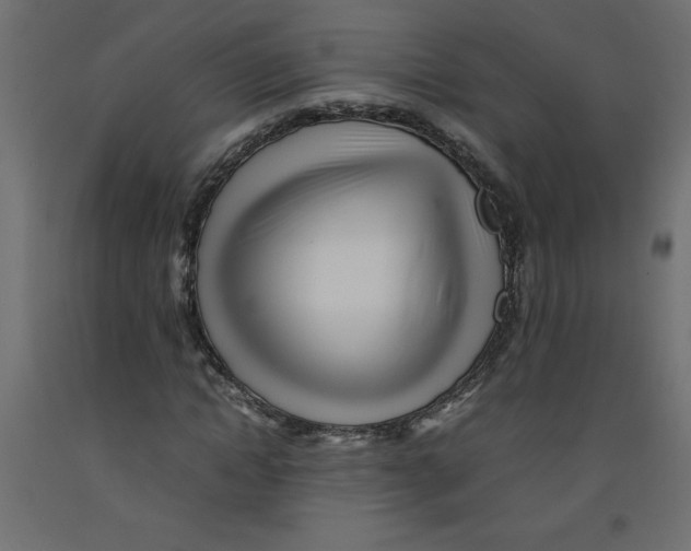 X0000092310822200710121456