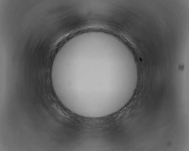 X0000092310824200710121456