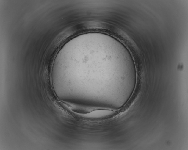 X0000092310825200710121456