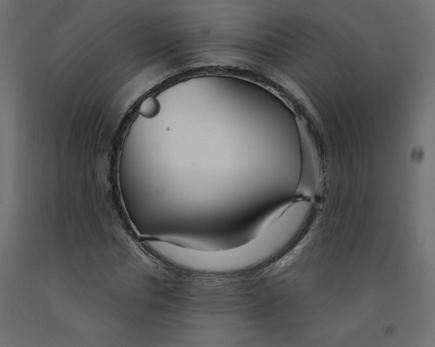 X0000092310826200710121456