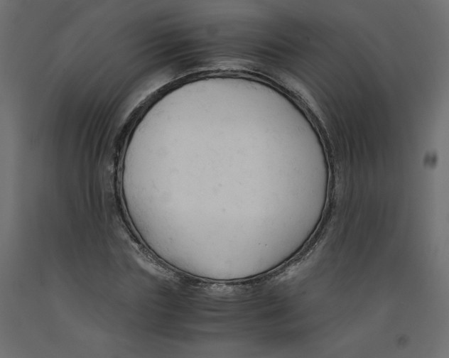 X0000092310827200710121456