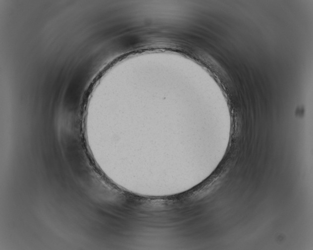 X0000092310828200710121456