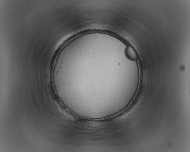 X0000092310829200710121456