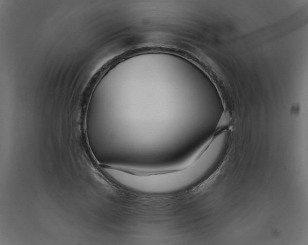 X0000092310830200710121456