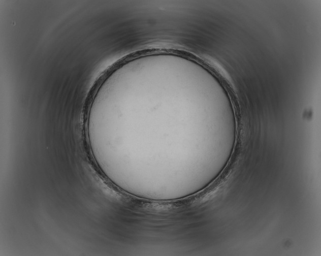 X0000092310831200710121456