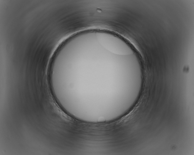 X0000092310832200710121456