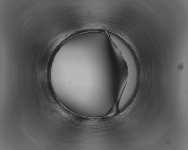 X0000092310834200710121456