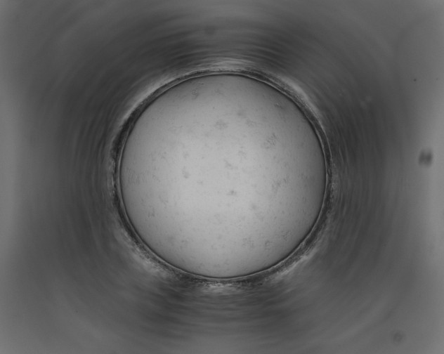 X0000092310835200710121456