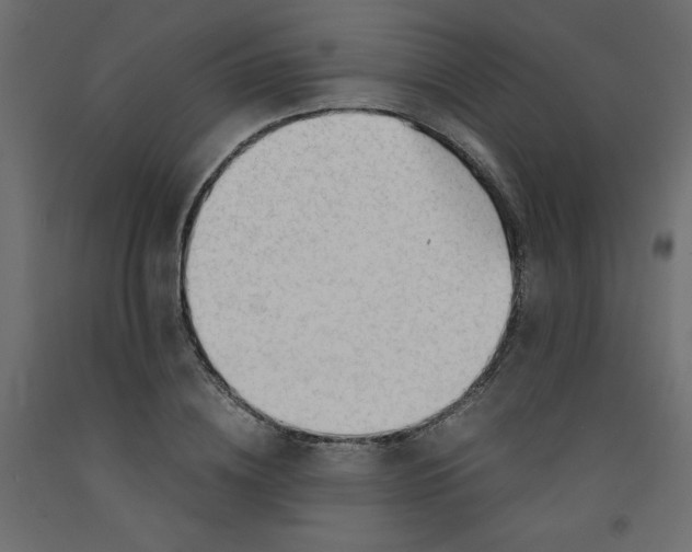 X0000092310836200710121456