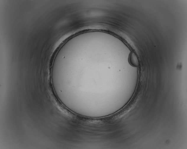 X0000092310837200710121456