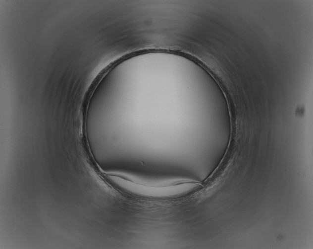 X0000092310838200710121456