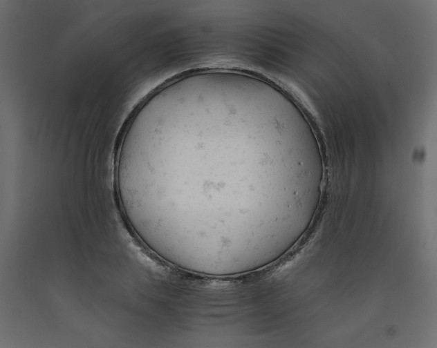 X0000092310839200710121456