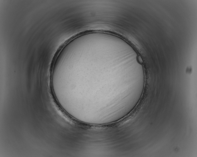 X0000092310840200710121456