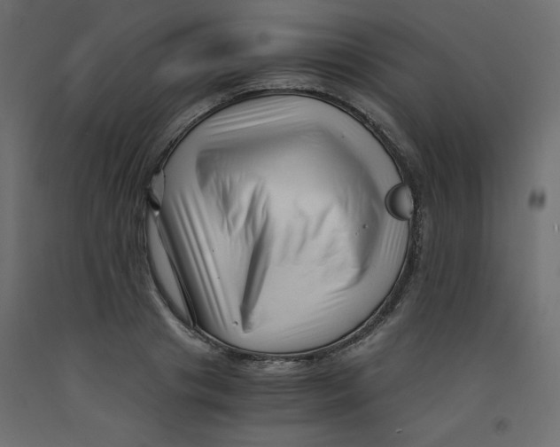 X0000092310841200710121456