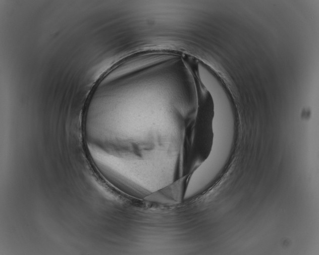 X0000092310842200710121456
