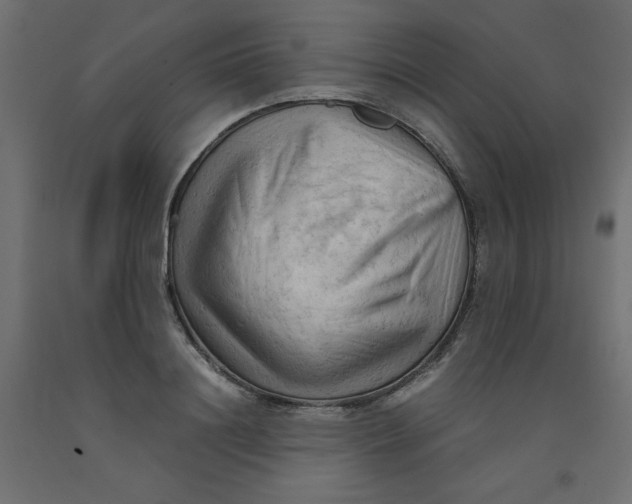 X0000092310844200710121456
