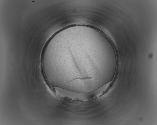 X0000092310845200710121456