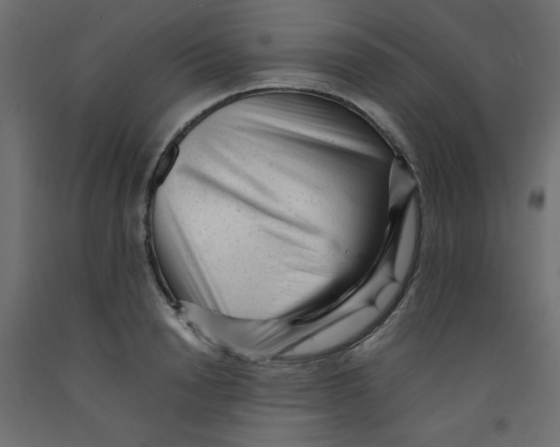 X0000092310846200710121456
