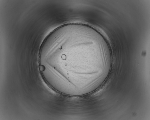 X0000092310847200710121457