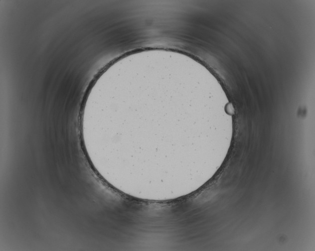 X0000092310848200710121457