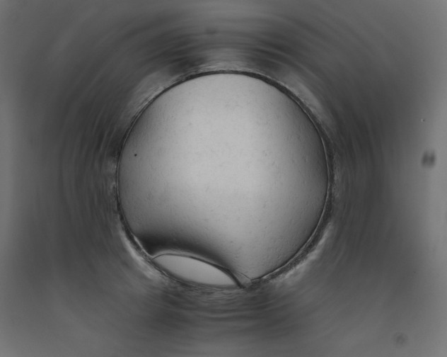 X0000092310849200710121457
