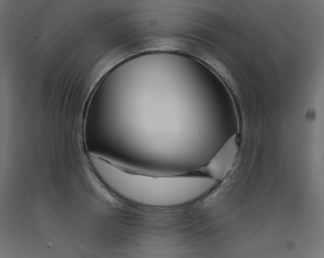 X0000092310850200710121457