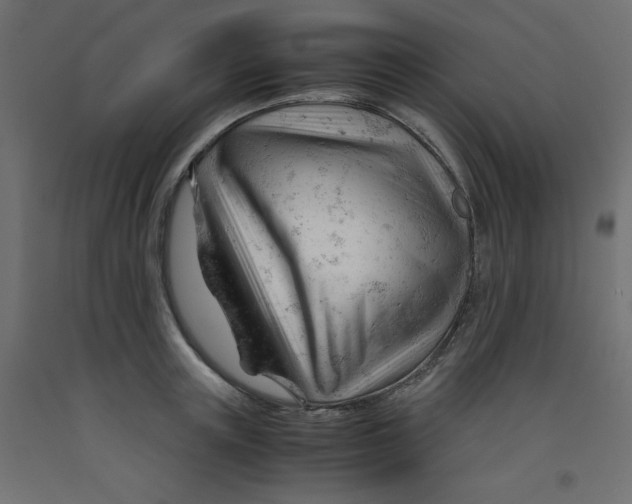 X0000092310851200710121457