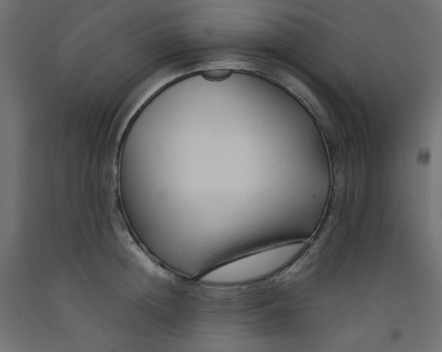 X0000092310852200710121457