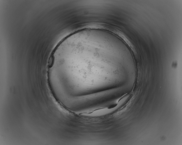 X0000092310853200710121457