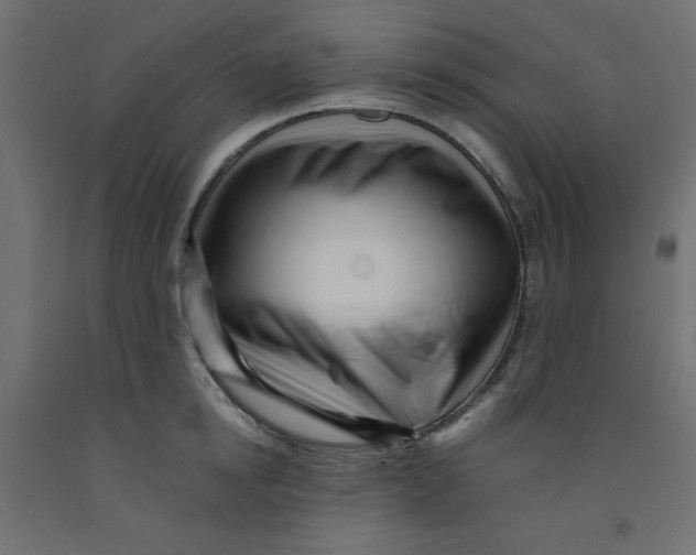 X0000092310854200710121457