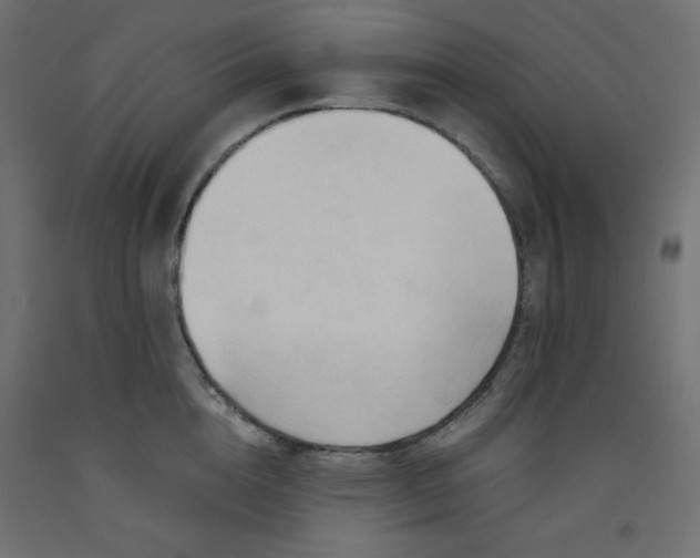 X0000092310856200710121457