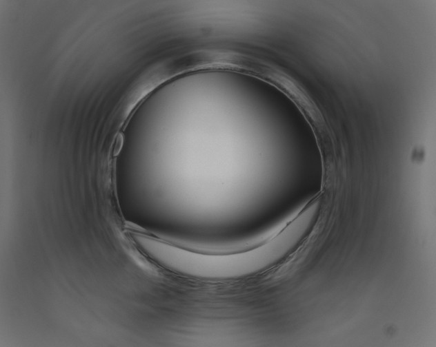 X0000092310858200710121457