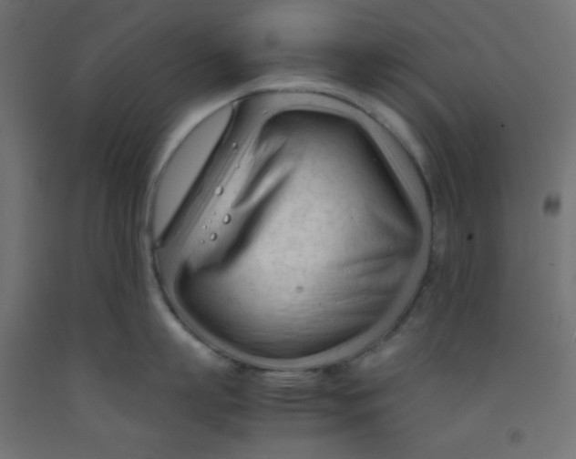 X0000092310863200710121457